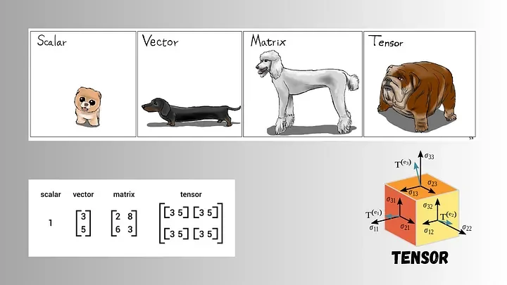 Scalars, Vectors, Matrices & Tensors Explained